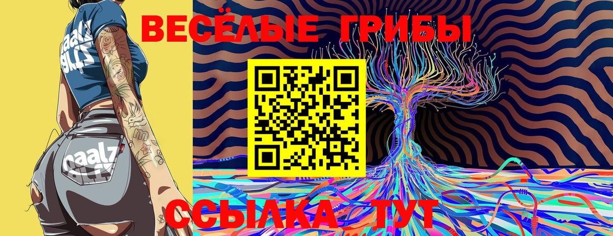Галлюциногенные грибы GOLDEN TEACHER  Галлюциногенные грибы ЛСД  Вход с VPN  Воркута 