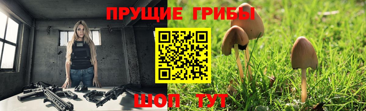 Галлюциногенные грибы GOLDEN TEACHER Воркута